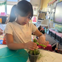 Kinder countdown continues. E for "eruption." F for "friendship bracelets." G for "games." H for "hair" to cut.