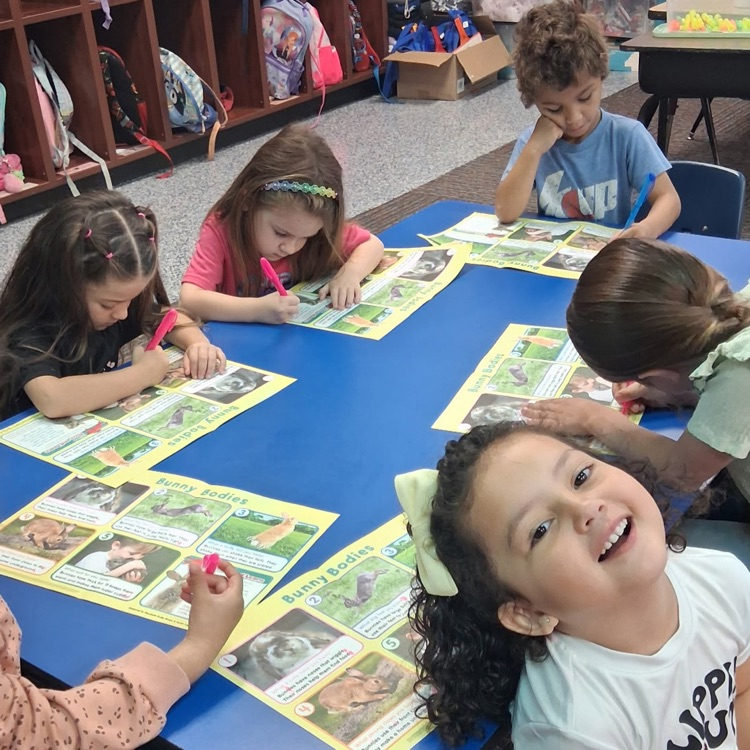 PK mini-Lions enjoy their monthly social studies magazines. These students are learning to highlight text.💛🦁💙