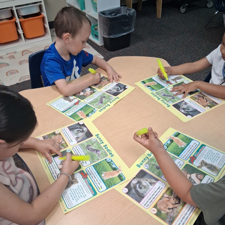 PK mini-Lions enjoy their monthly social studies magazines. These students are learning to highlight text.💛🦁💙
