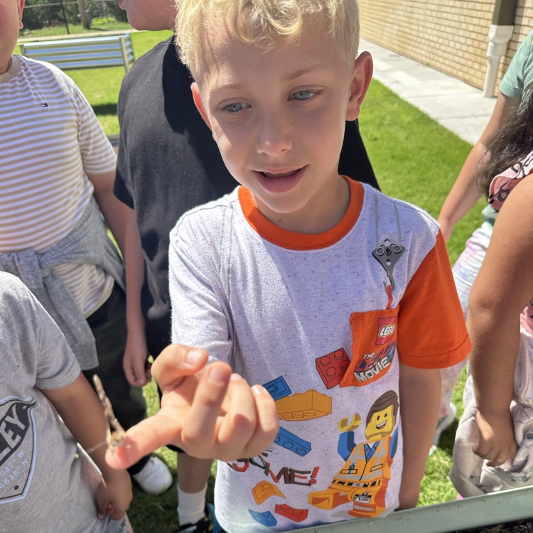 First and second grade Lions release their butterflies after learning about the butterfly life cycle.💙🦁💛