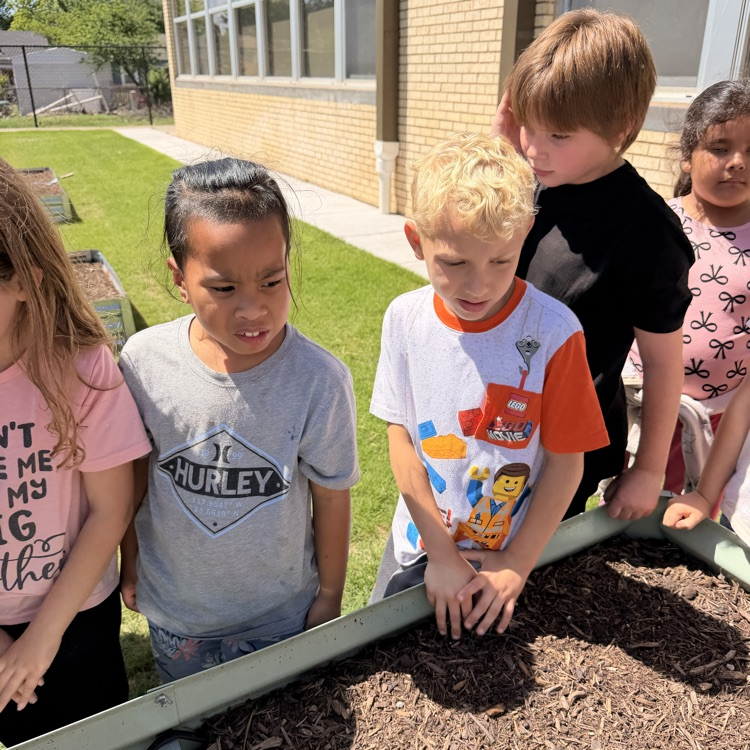 First and second grade Lions release their butterflies after learning about the butterfly life cycle.💙🦁💛