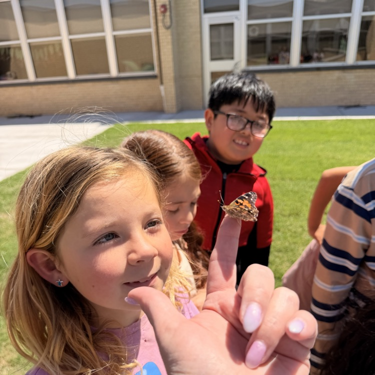 First and second grade Lions release their butterflies after learning about the butterfly life cycle.💙🦁💛