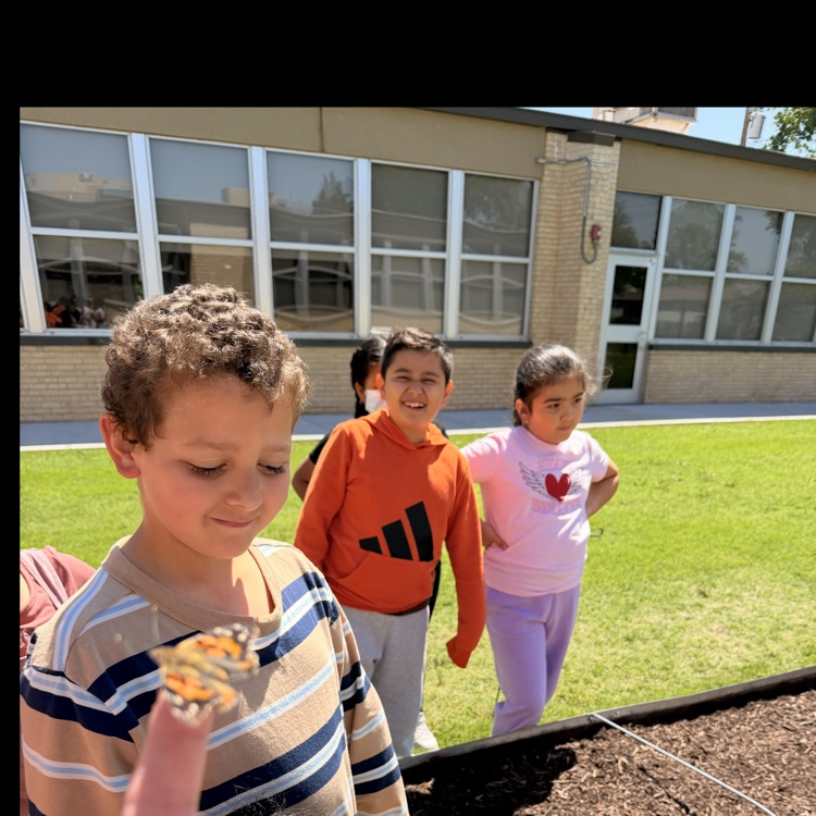 First and second grade Lions release their butterflies after learning about the butterfly life cycle.💙🦁💛