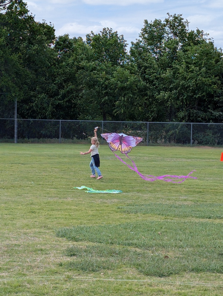 kites
