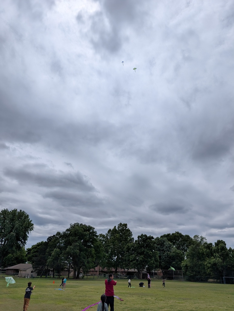 kites