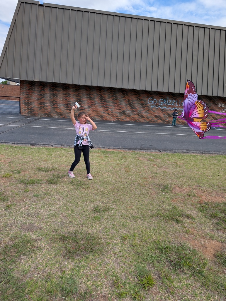 kites