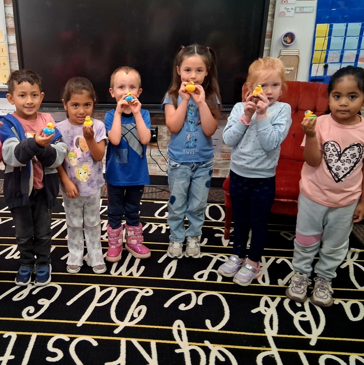 PK mini-Lions "hatched" chicks while studying life cycles. The students were able to hatch the chicks if they followed our life principles.