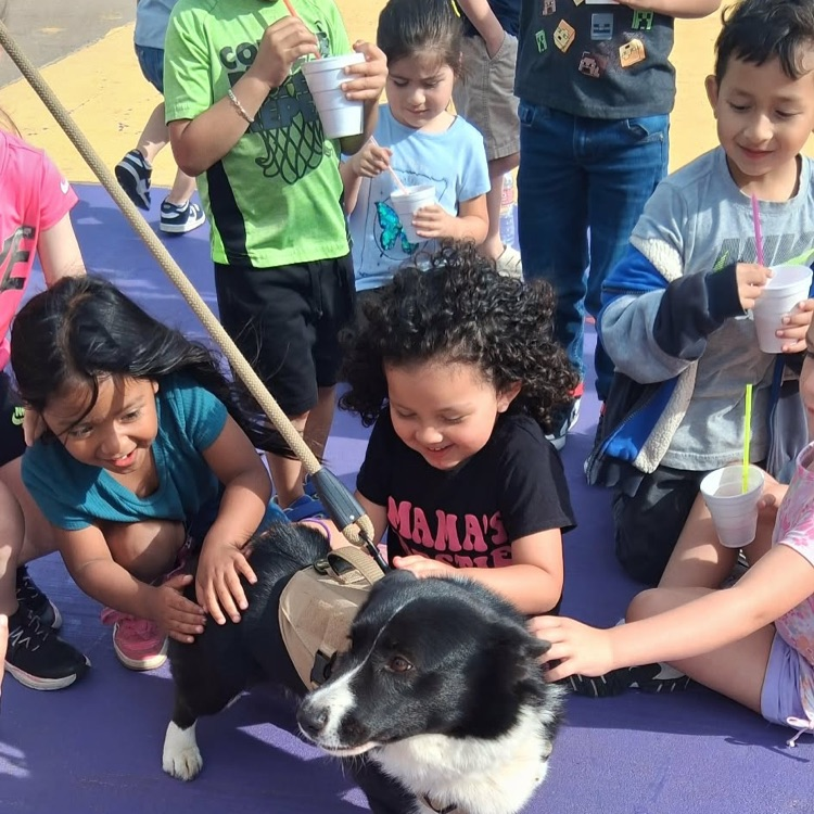 PK mini-Lions finished their life cycle unit with a visit from Koda the Corgi!💙🦁💛
