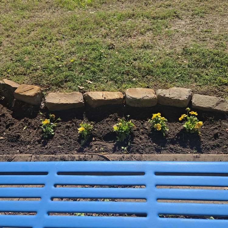 Monroe Garden Club💙🦁💛