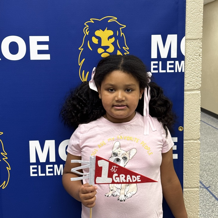 Our first days💙🦁💛
