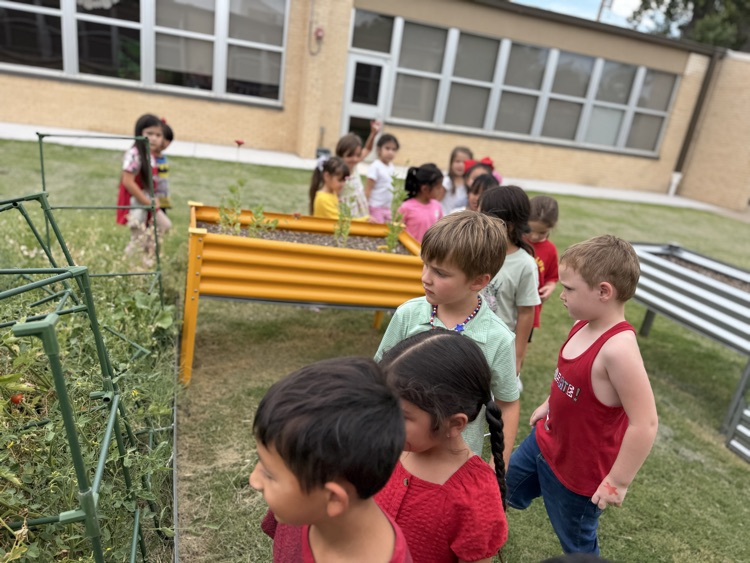 Kinder friends pick tomatoes from the Monroe Garden
