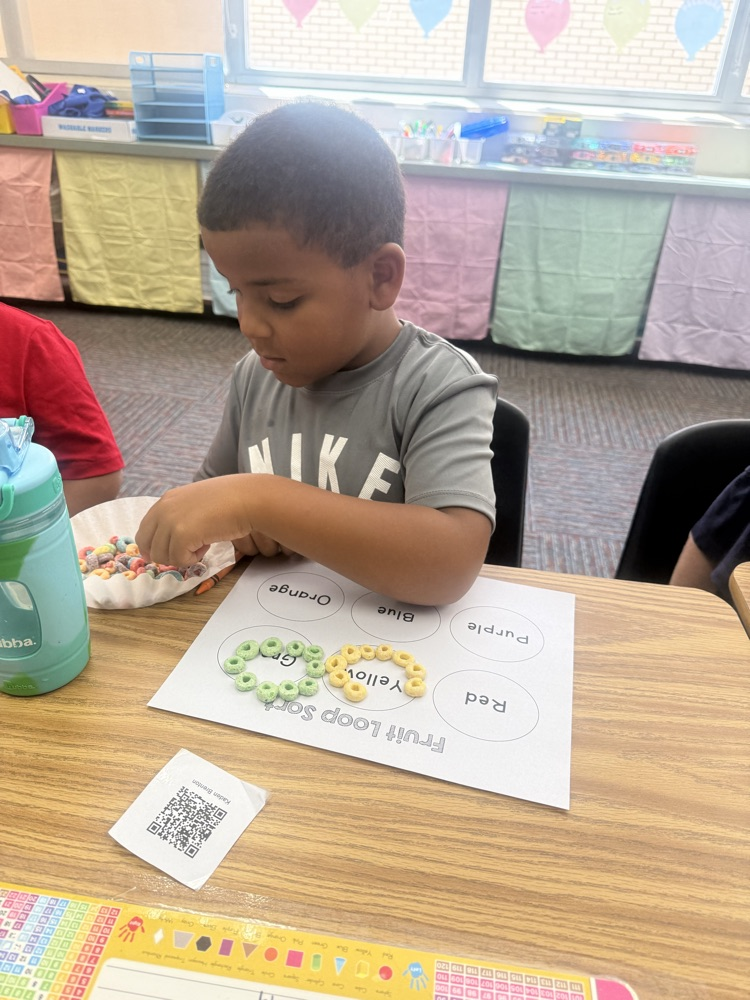 Firsties sort and graph! Our Lions are getting ready for Big Ideas math.💛🦁💙