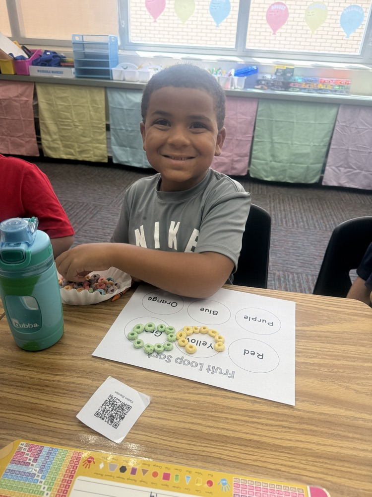 Firsties sort and graph! Our Lions are getting ready for Big Ideas math.💛🦁💙