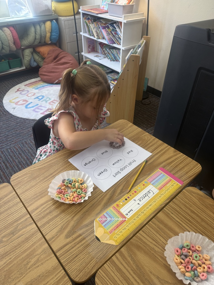 Firsties sort and graph! Our Lions are getting ready for Big Ideas math.💛🦁💙