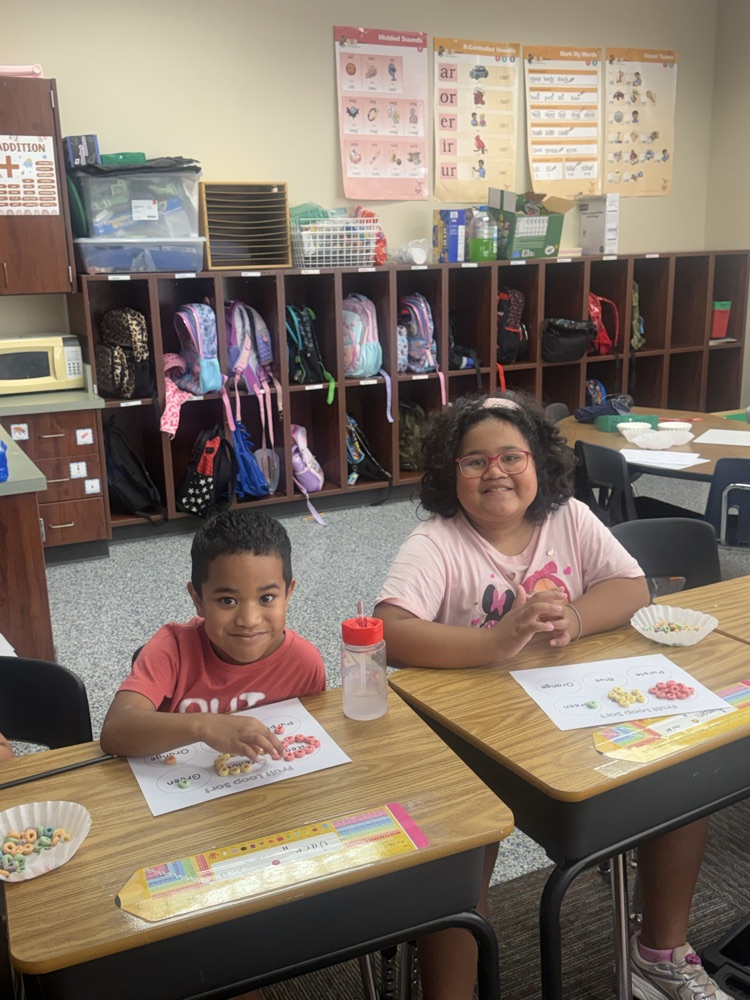 Firsties sort and graph! Our Lions are getting ready for Big Ideas math.💛🦁💙