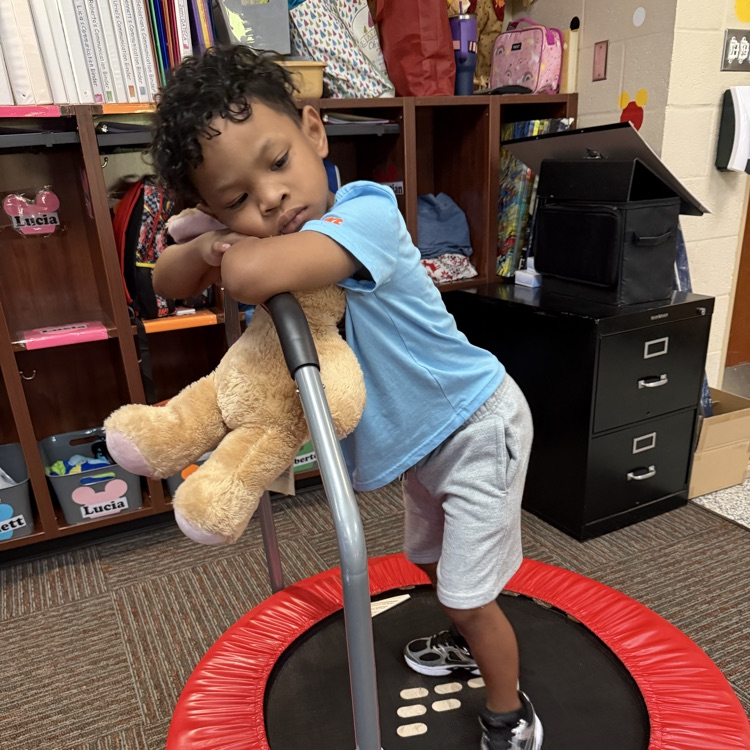 Bringing some joy to your feed...💙🦁💛