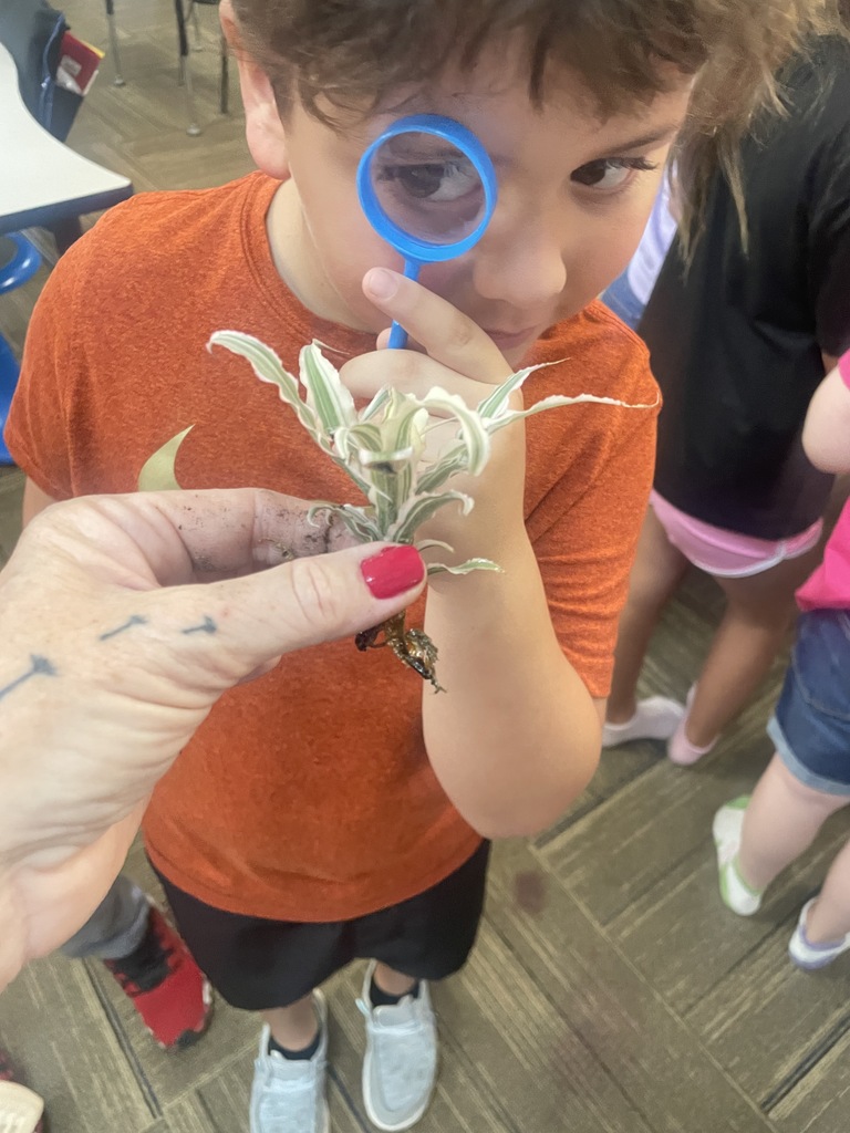 Young boy looking through  a magnifying glass at a plant