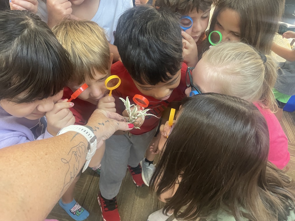 Ms. Day's 2nd grade huddles together looking through magnifying glass at a plant 
