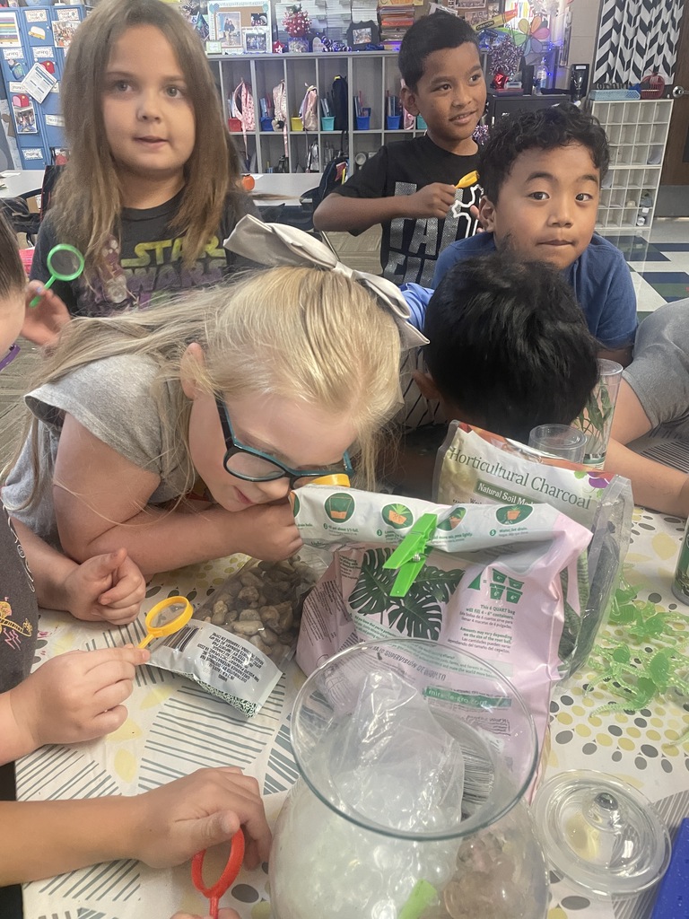 Ms. Day's class making a terrarium