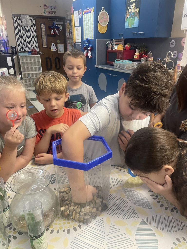 Ms. Day's class making a terrarium