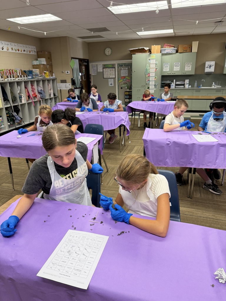 Two girls dissecting an owl pellet
