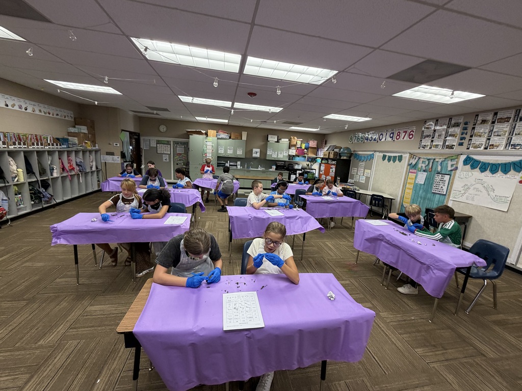 Mrs. Burrell's 5th grade dissecting an owl pellet