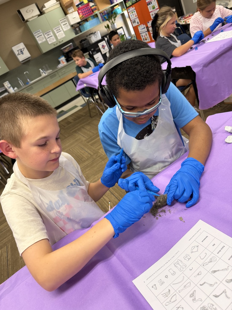 Two boys dissecting an owl pellet