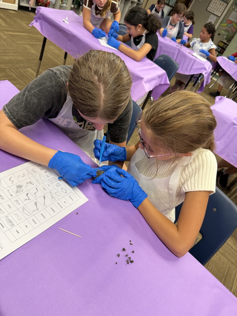 Two girls dissecting an owl pellet