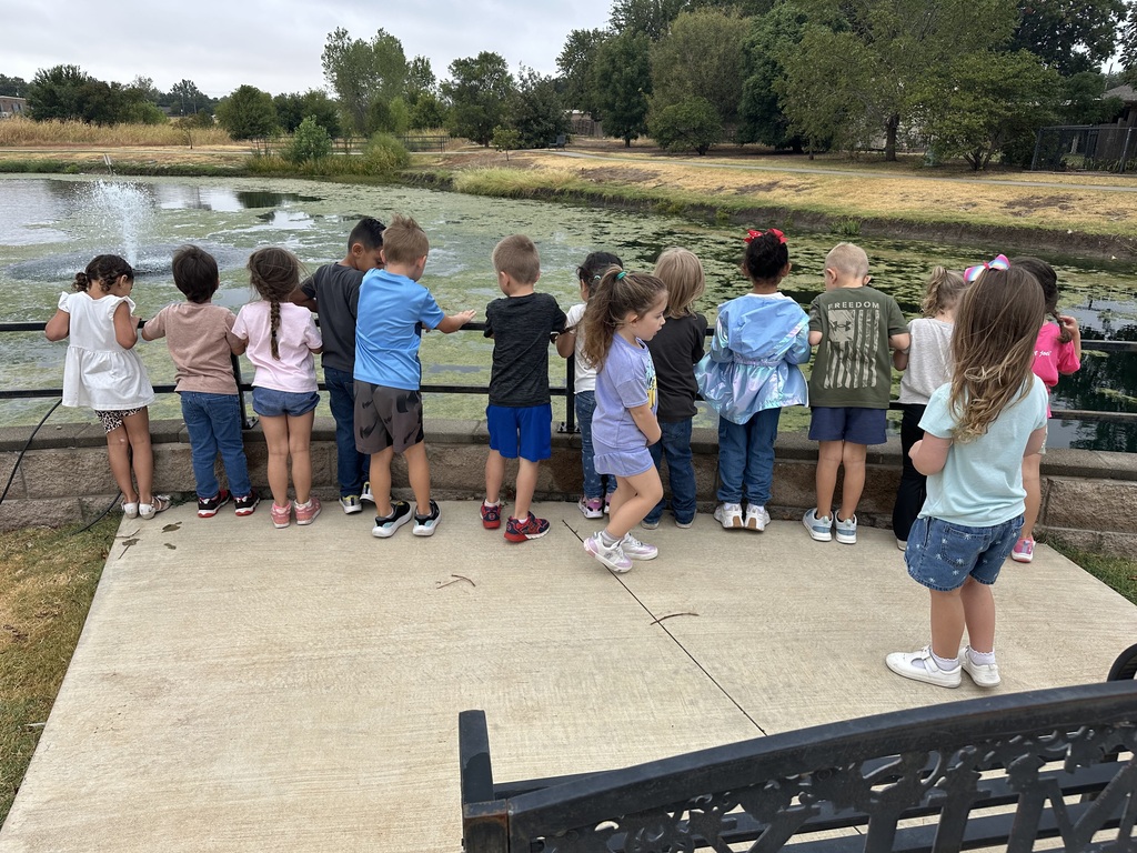Kids checking out the pond at the Commons