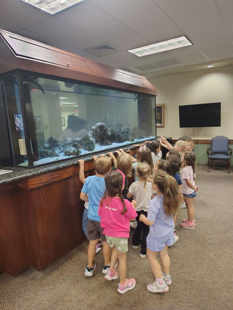 Kids checking out the aquarium