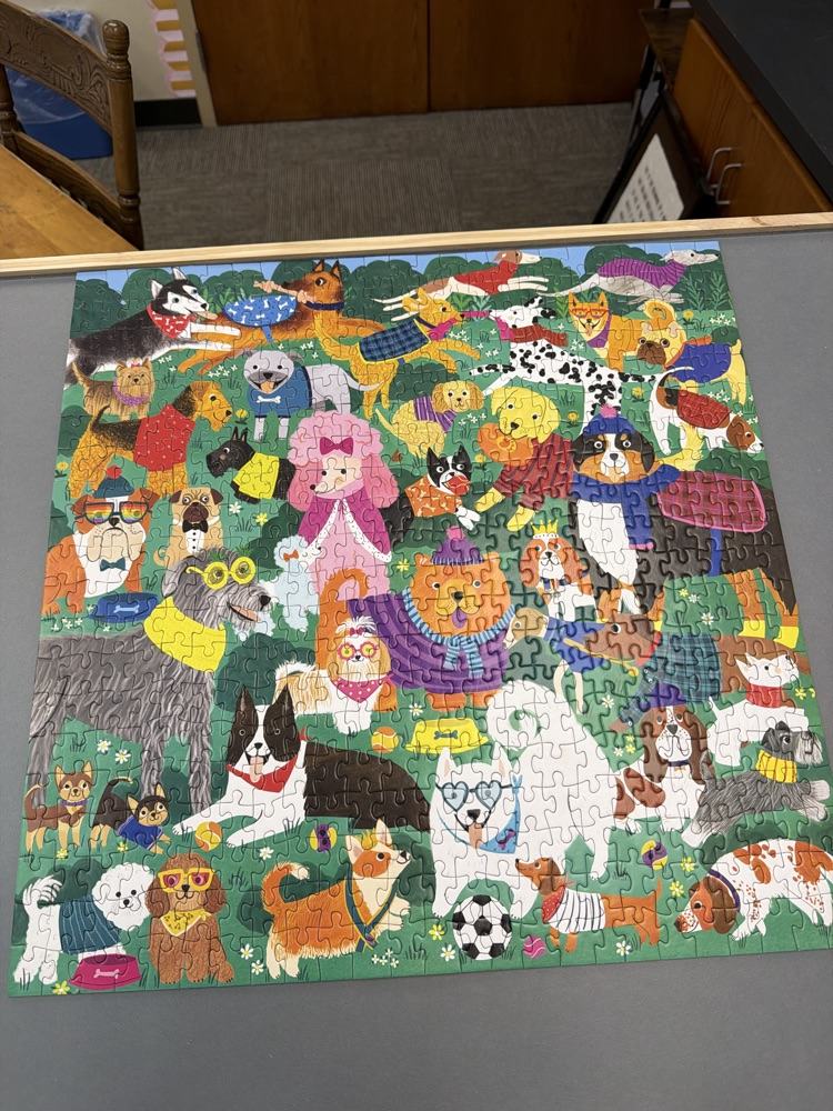 Mrs. Brainard's class finishes a 500-piece puzzle 🧩 🦁🧩