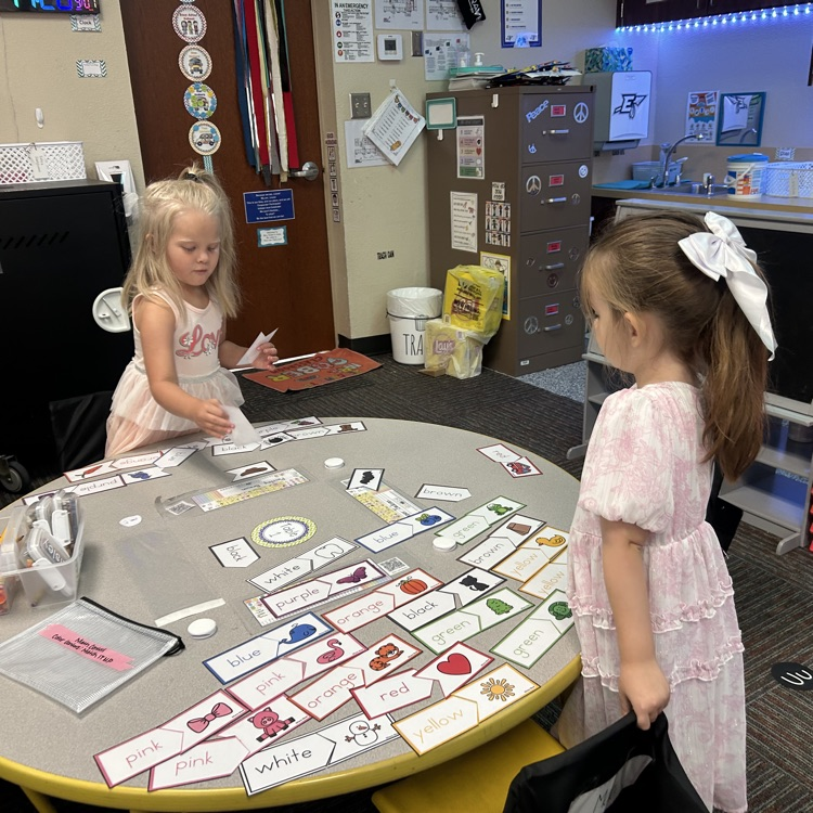 Kinder Lions have BIG IDEAS about math!💛🦁💙