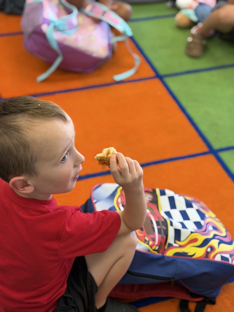 Five Senses Taste Tests make us (Wit &) WISER!