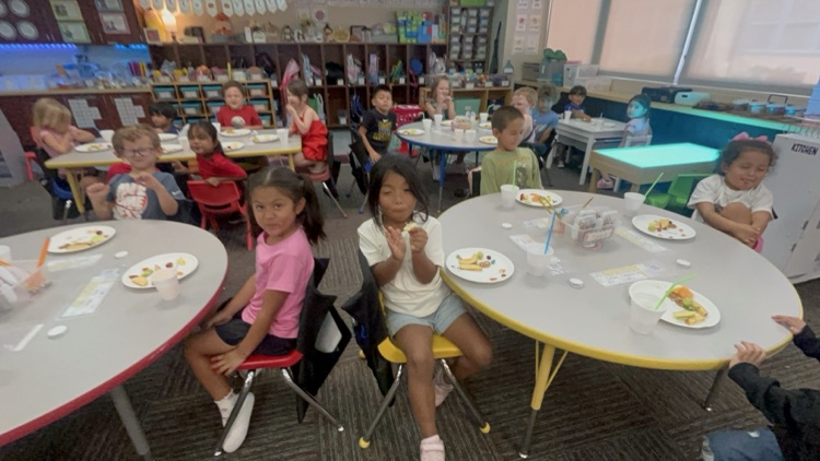 Five Senses Taste Tests make us (Wit &) WISER!