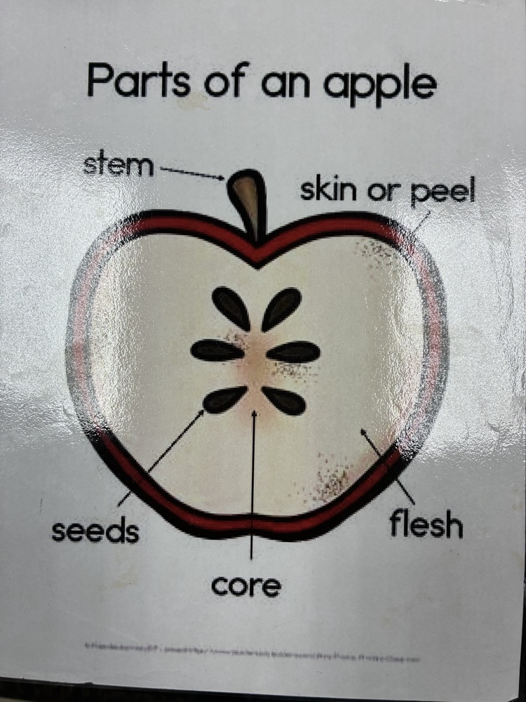 C-K-L-yay...for apple tasting in PK! 🍎🦁🍏