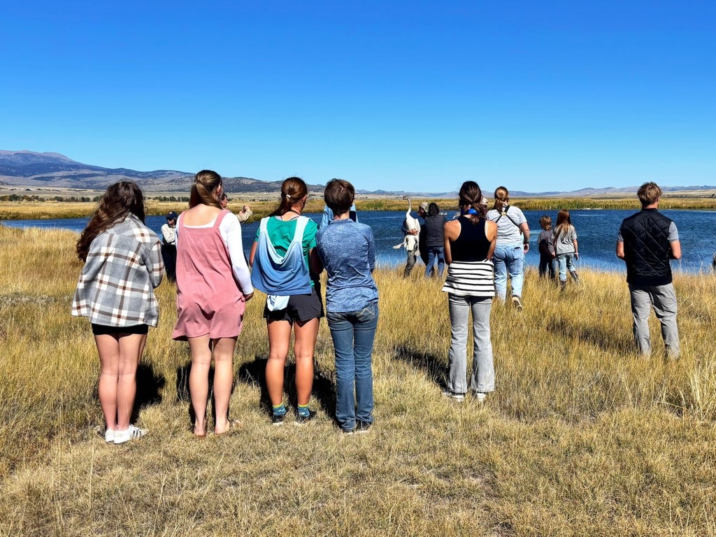 Students watching as the swans are released.