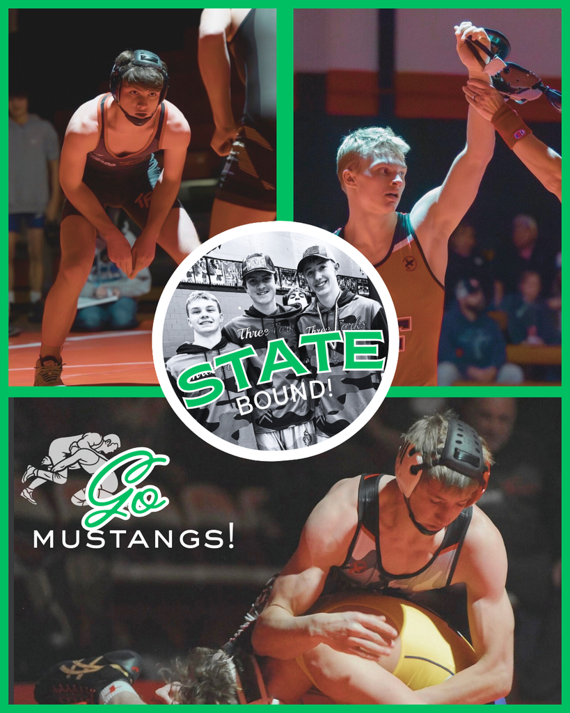 Wrestling State Bound