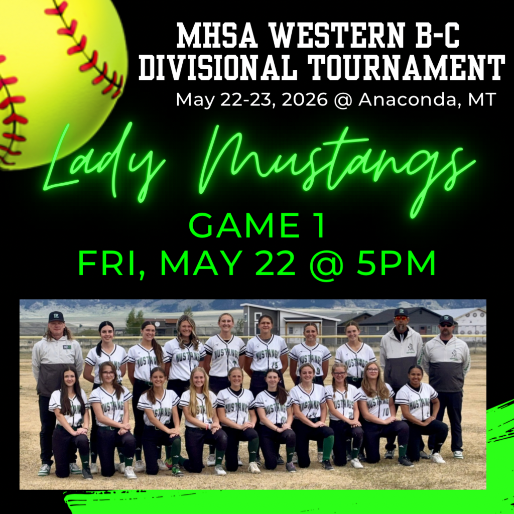 Softball Flyer