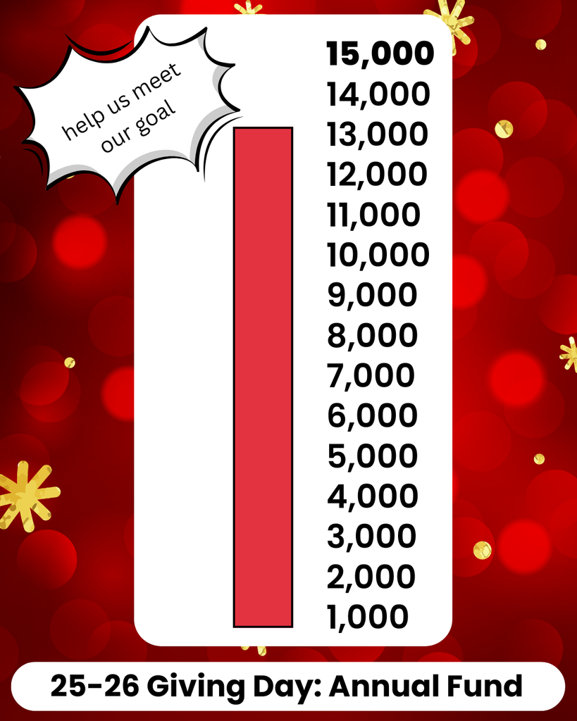 Giving Day Goal Tracker (2)