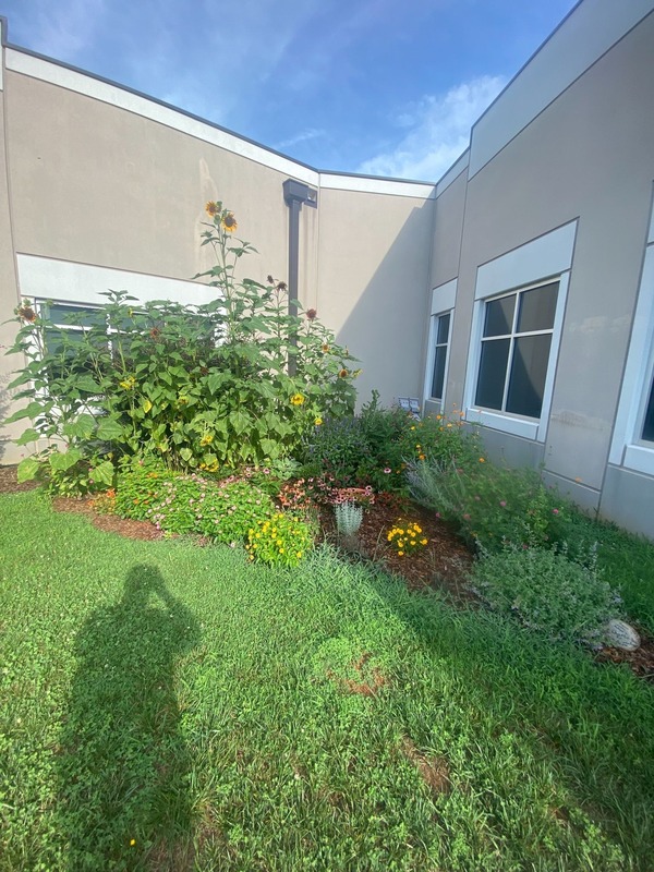 AP Environmental Science full garden plot