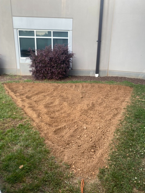 AP Environmental science empty garden plot