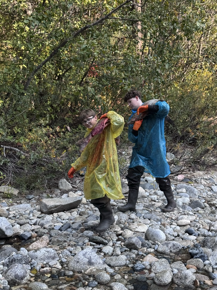 That’s one way to carry them