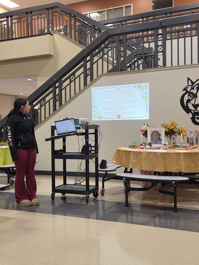 Monica's Senior Project