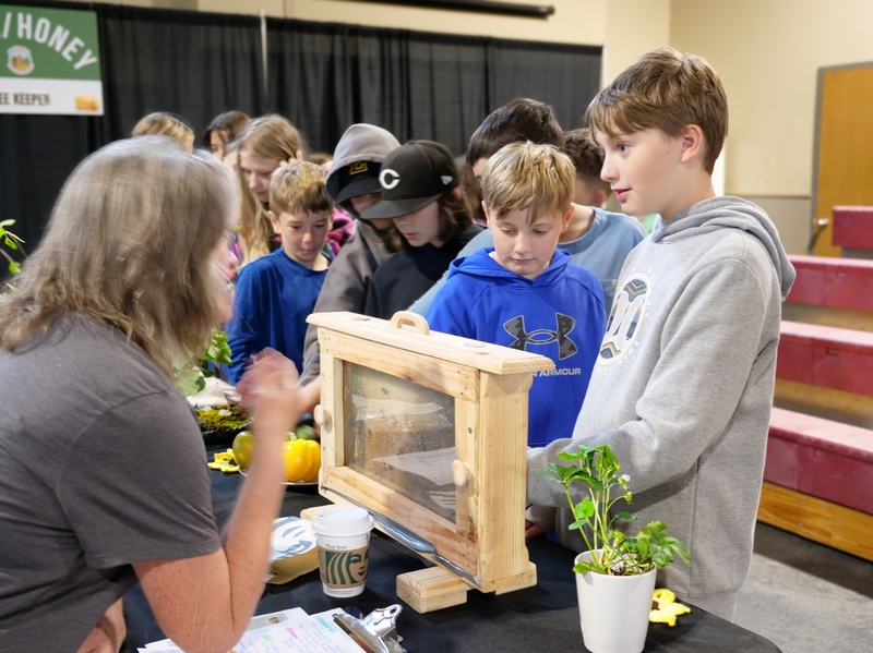 Students learning about local  honey and bees