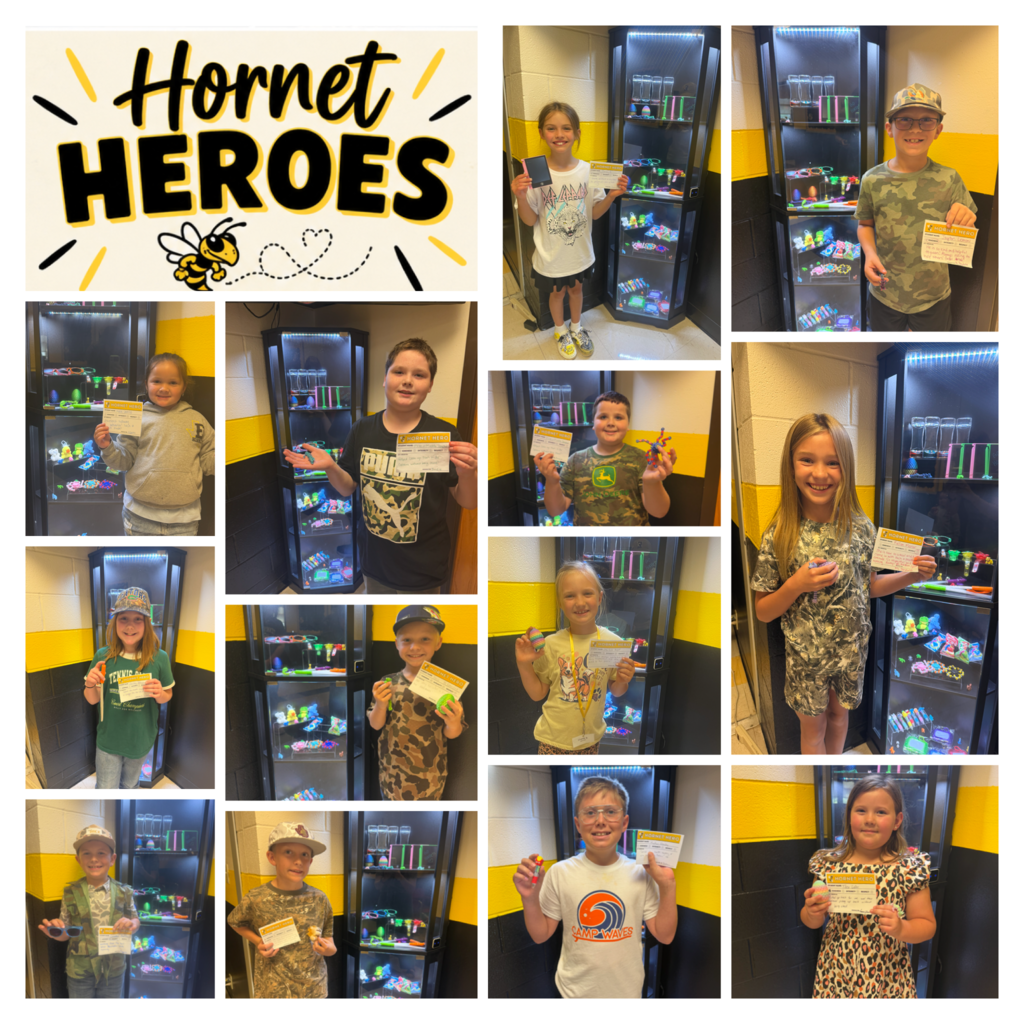 Hornet Heroes