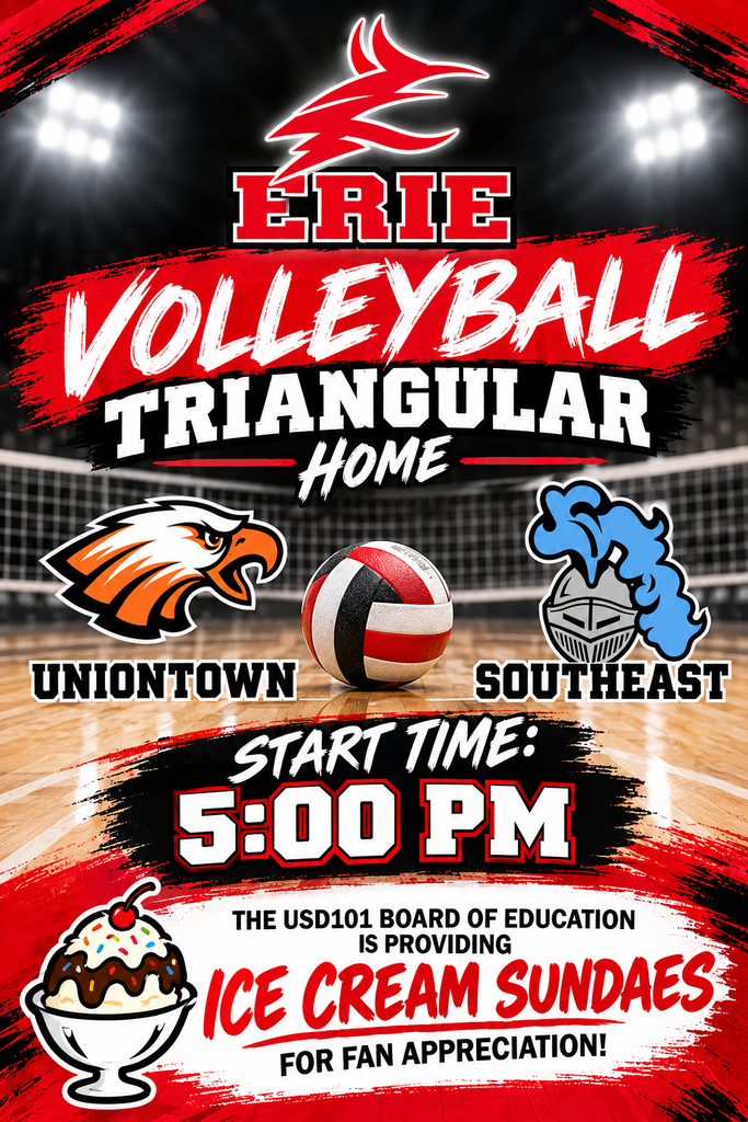 volleyball flyer