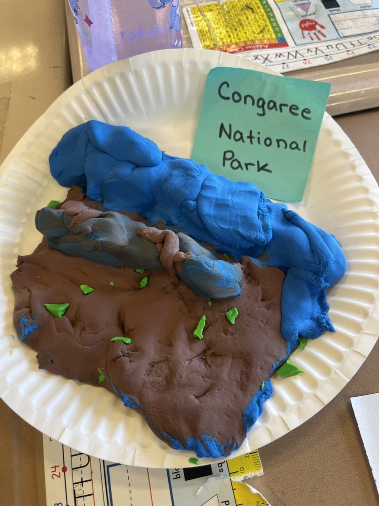 A model of the Congaree National Park that students made out of  clay.