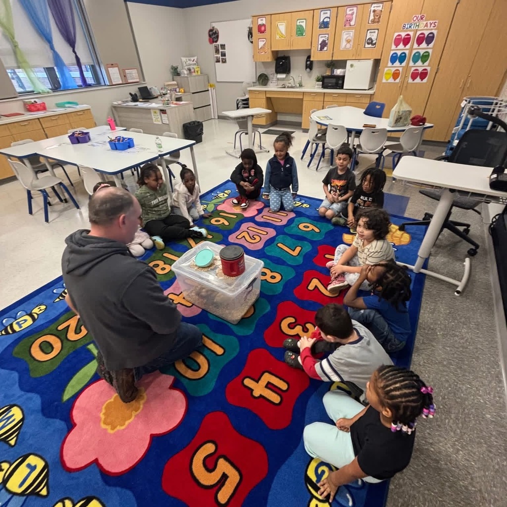 Children sit in a circle on a colorful classroom rug, watching a man with a bin of chicks.