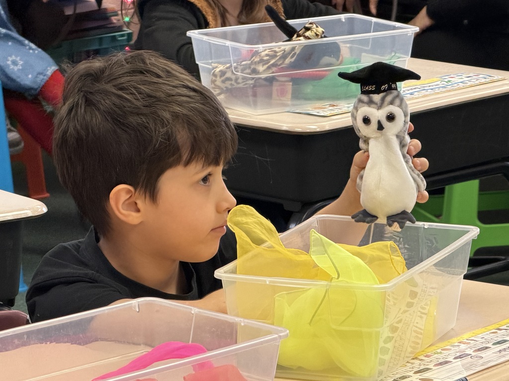 A student holding a stuffed own with a graduation cap on it.