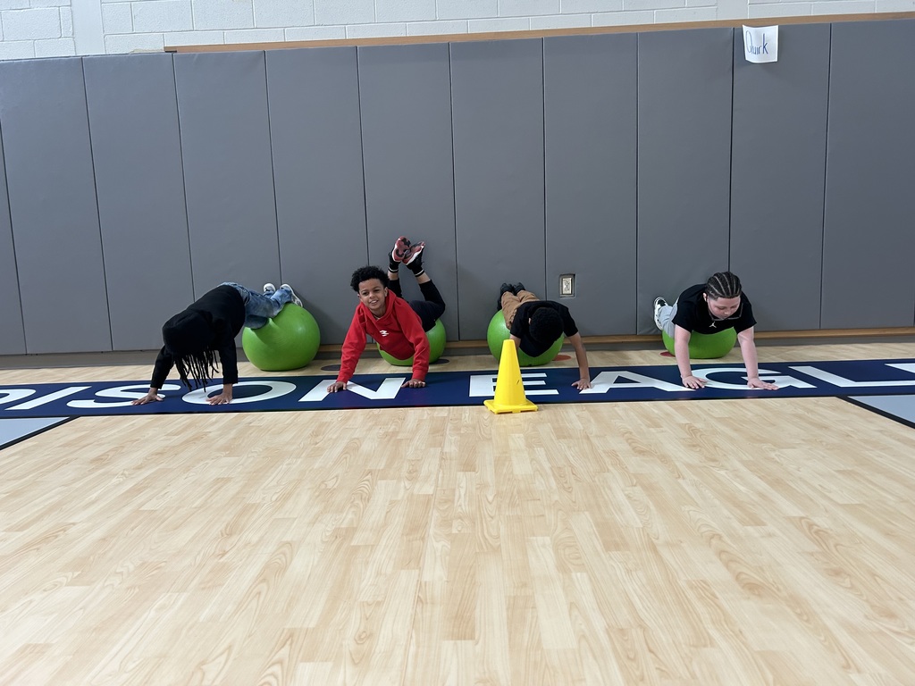 Students in gym class doing push ups on exercise balls.